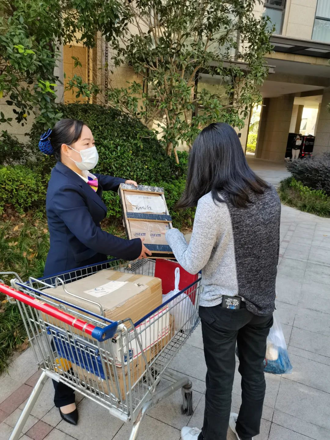 1605488734330212ElDK.jpg 37bba7039ec789d50663cc486ef7673a.jpg