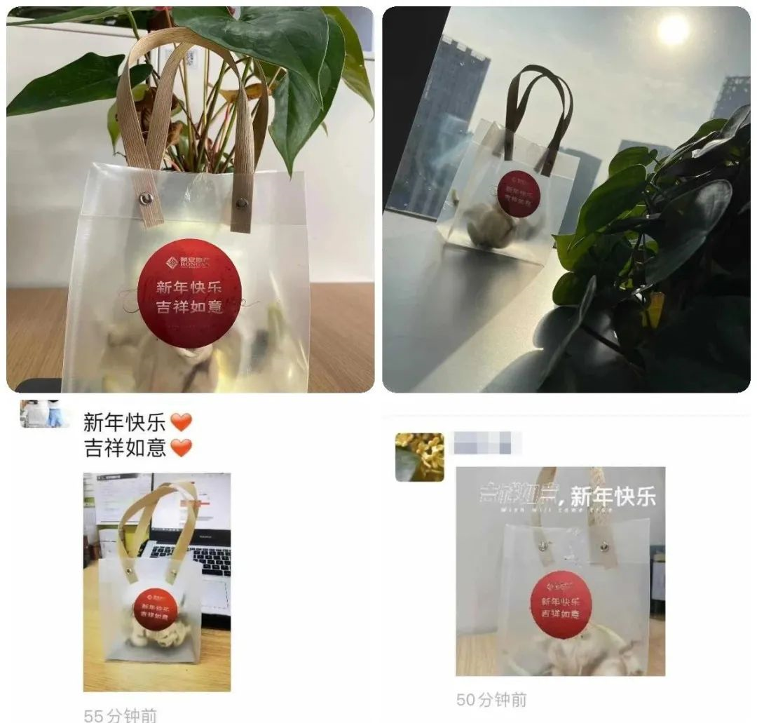 1612748509130281HnWV.png image.png