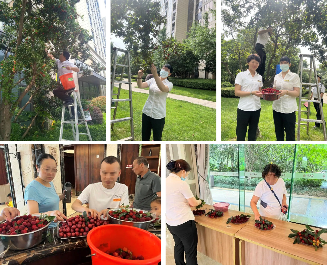 1689907643139511zwYr.png 640 (4).png