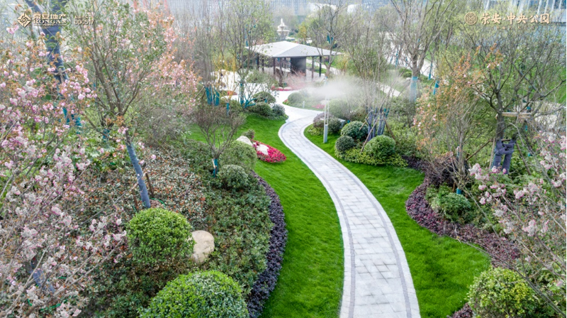 1654044392829321BxfH.png image.png